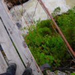 hanging bridge