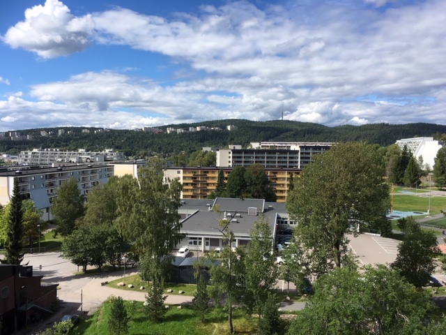 Real estate market slumps
